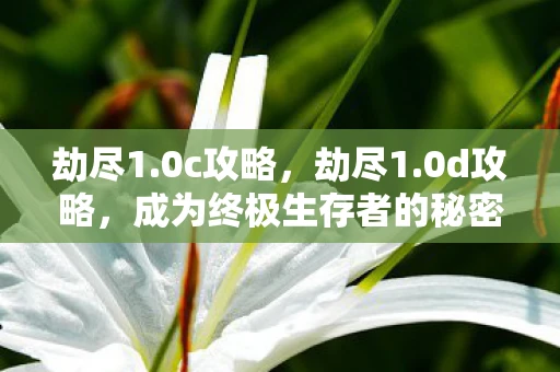 劫尽1.0c攻略，劫尽1.0d攻略，成为终极生存者的秘密