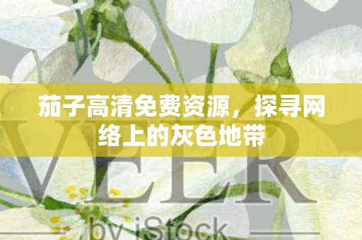 茄子高清免费资源,探寻网络上的灰色地带 茄子高清免费资源,探寻网络上的灰色地带