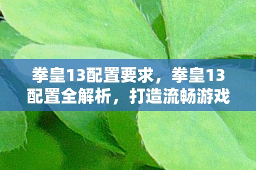 拳皇13配置要求，拳皇13配置全解析，打造流畅游戏体验