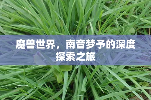 南音梦予的深度探索之旅图片