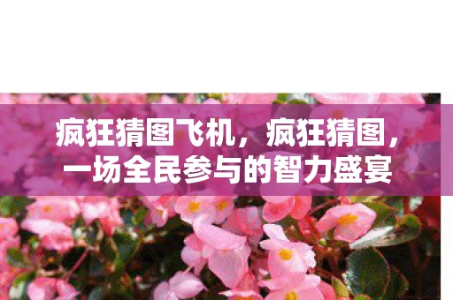 疯狂猜图飞机，疯狂猜图，一场全民参与的智力盛宴