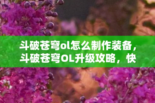 斗破苍穹ol怎么制作装备,斗破苍穹OL升级攻略,快速突破等级限制,成为斗气大陆强者! 斗破苍穹ol怎么制作装备,斗破苍穹OL升级攻略,快速突破等级限制,成为斗气大陆强者!