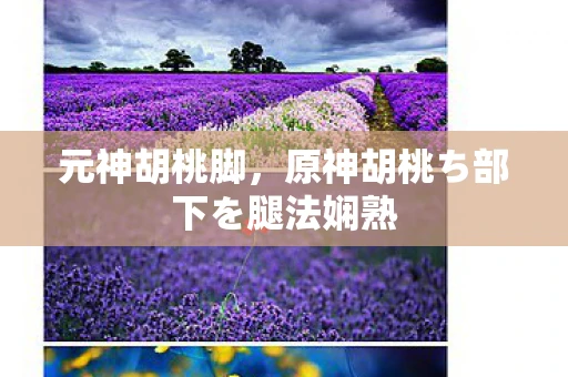 元神胡桃脚，原神胡桃ち部下を腿法娴熟