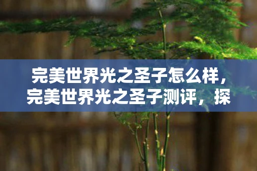 完美世界光之圣子怎么样,完美世界光之圣子测评,探索神秘世界的奇幻之旅 完美世界光之圣子怎么样,完美世界光之圣子测评,探索神秘世界的奇幻之旅