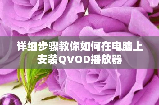 详细步骤教你如何在电脑上安装QVOD播放器图片