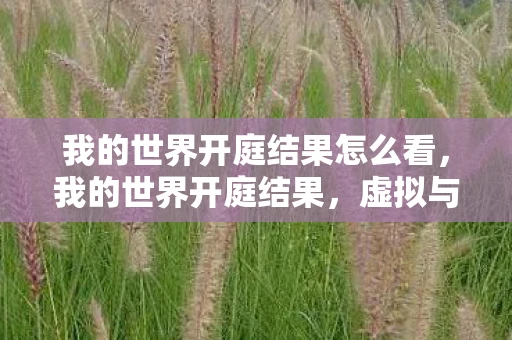 我的世界开庭结果怎么看,我的世界开庭结果,虚拟与现实的法律边界 我的世界开庭结果怎么看,我的世界开庭结果,虚拟与现实的法律边界