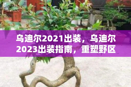 乌迪尔2021出装，乌迪尔2023出装指南，重塑野区霸主地位