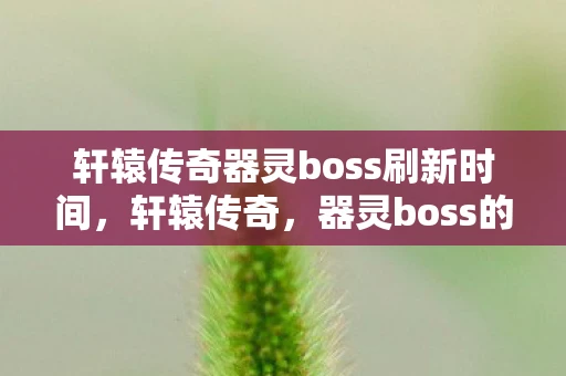 轩辕传奇器灵boss刷新时间,轩辕传奇,器灵boss的传奇挑战 轩辕传奇器灵boss刷新时间,轩辕传奇,器灵boss的传奇挑战