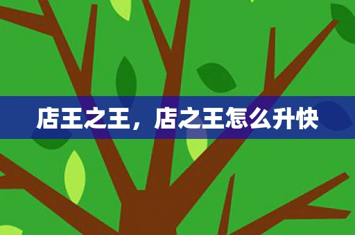 店王之王，店之王怎么升快
