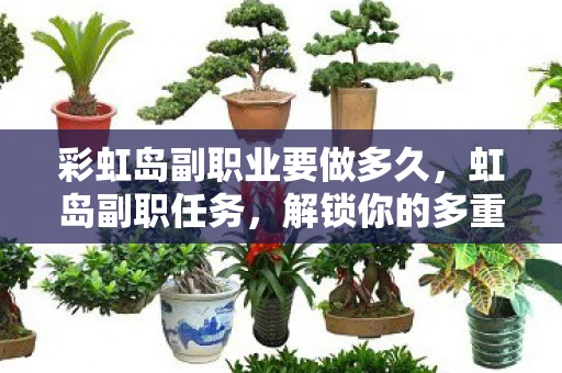 彩虹岛副职业要做多久，虹岛副职任务，解锁你的多重潜能