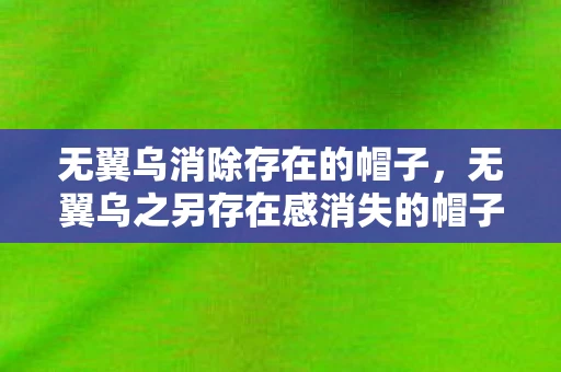 无翼乌消除存在的帽子，无翼乌之另存在感消失的帽子