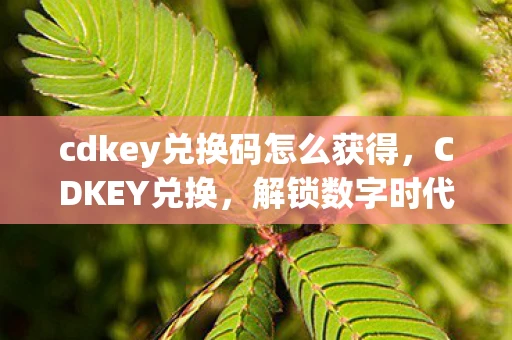 cdkey兑换码怎么获得,CDKEY兑换,解锁数字时代新体验 cdkey兑换码怎么获得,CDKEY兑换,解锁数字时代新体验