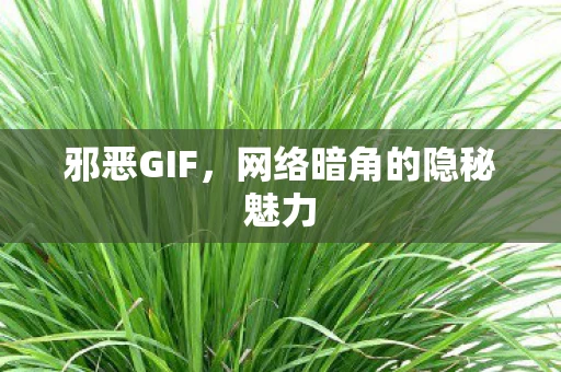 邪恶GIF，网络暗角的隐秘魅力