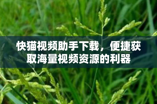 便捷获取海量视频资源的利器图片