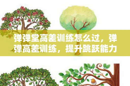 弹弹堂高差训练怎么过，弹弹高差训练，提升跳跃能力的科学指南
