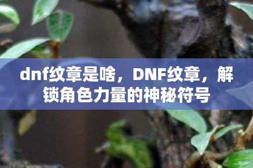 dnf纹章是啥,DNF纹章,解锁角色力量的神秘符号 dnf纹章是啥,DNF纹章,解锁角色力量的神秘符号