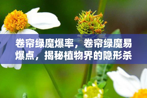 卷帘绿魔爆率,卷帘绿魔易爆点,揭秘植物界的隐形杀手 卷帘绿魔爆率,卷帘绿魔易爆点,揭秘植物界的隐形杀手