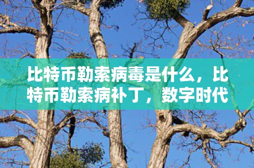 比特币勒索病毒是什么,比特币勒索病补丁,数字时代下的网络安全挑战 比特币勒索病毒是什么,比特币勒索病补丁,数字时代下的网络安全挑战