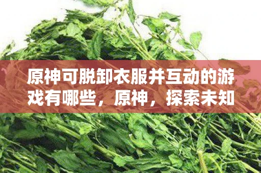 原神可脱卸衣服并互动的游戏有哪些，原神，探索未知世界的奇妙之旅