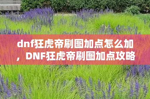 dnf狂虎帝刷图加点怎么加,DNF狂虎帝刷图加点攻略,打造高效战斗体验 dnf狂虎帝刷图加点怎么加,DNF狂虎帝刷图加点攻略,打造高效战斗体验