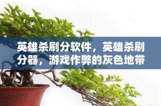 英雄杀刷分软件，英雄杀刷分器，游戏作弊的灰色地带