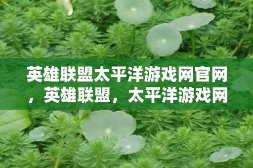 英雄联盟太平洋游戏网官网，英雄联盟，太平洋游戏网独家解析