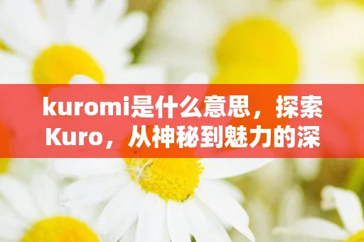 kuromi是什么意思，探索Kuro，从神秘到魅力的深度解析