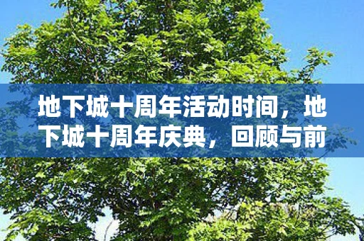 地下城十周年活动时间，地下城十周年庆典，回顾与前瞻