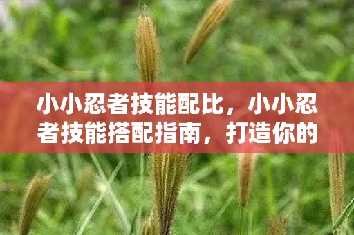 小小忍者技能配比，小小忍者技能搭配指南，打造你的专属忍者之路