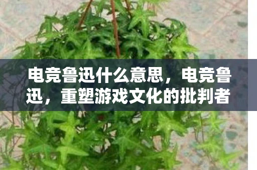 电竞鲁迅什么意思，电竞鲁迅，重塑游戏文化的批判者