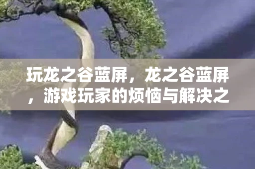 玩龙之谷蓝屏，龙之谷蓝屏，游戏玩家的烦恼与解决之道