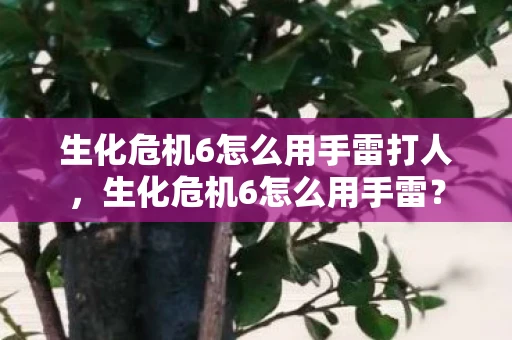 生化危机6怎么用手雷打人，生化危机6怎么用手雷？