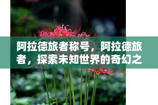 阿拉德旅者称号，阿拉德旅者，探索未知世界的奇幻之旅