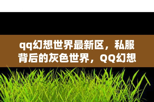 qq幻想世界最新区，私服背后的灰色世界，QQ幻想世界私服的隐秘与危险