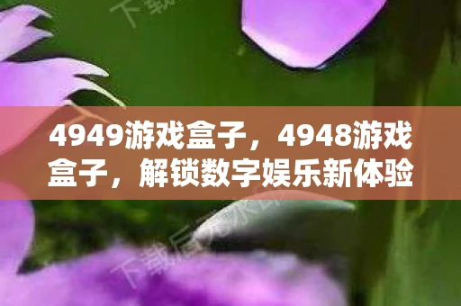4949游戏盒子，4948游戏盒子，解锁数字娱乐新体验