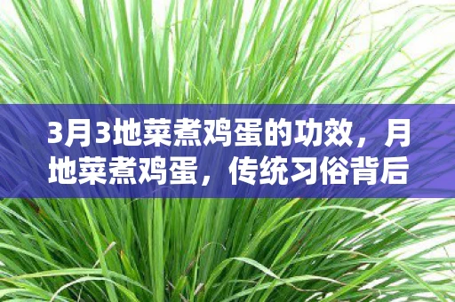 3月3地菜煮鸡蛋的功效，月地菜煮鸡蛋，传统习俗背后的深意