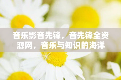 音乐影音先锋，音先锋全资源网，音乐与知识的海洋