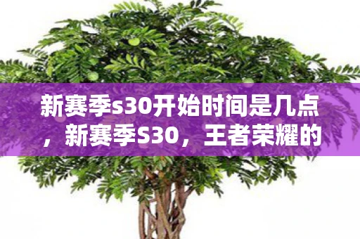 新赛季s30开始时间是几点，新赛季S30，王者荣耀的荣耀启程与期待