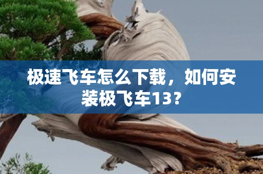 极速飞车怎么下载，如何安装极飞车13？