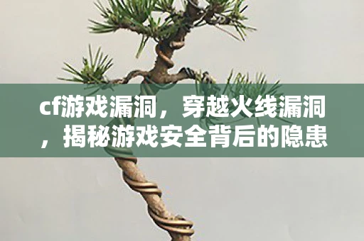 cf游戏漏洞，穿越火线漏洞，揭秘游戏安全背后的隐患