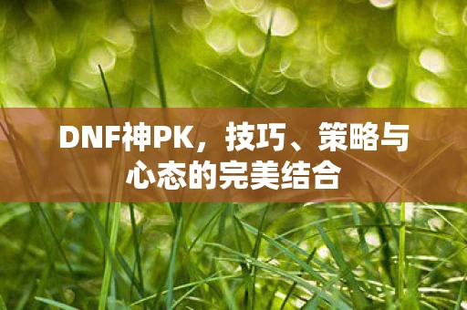 DNF神PK,技巧、策略与心态的完美结合 DNF神PK,技巧、策略与心态的完美结合