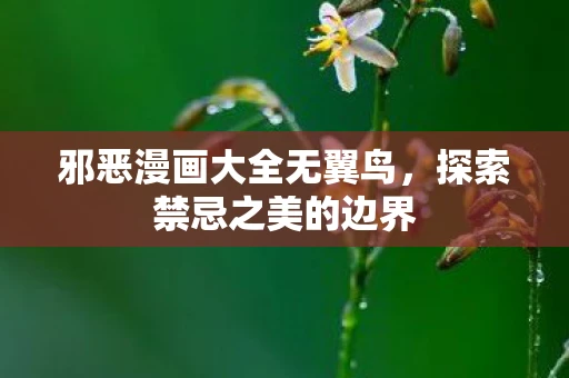 邪恶漫画大全无翼鸟，探索禁忌之美的边界