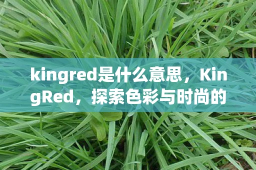 kingred是什么意思，KingRed，探索色彩与时尚的无限可能