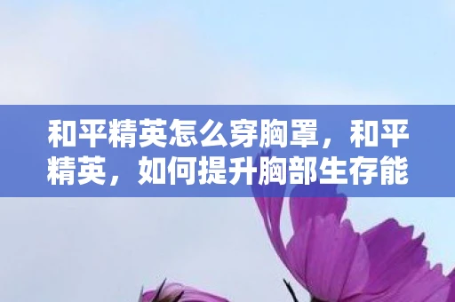 和平精英怎么穿胸罩，和平精英，如何提升胸部生存能力