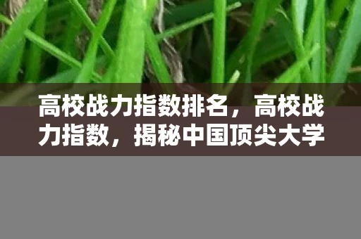 高校战力指数排名,高校战力指数,揭秘中国顶尖大学的综合实力 高校战力指数排名,高校战力指数,揭秘中国顶尖大学的综合实力
