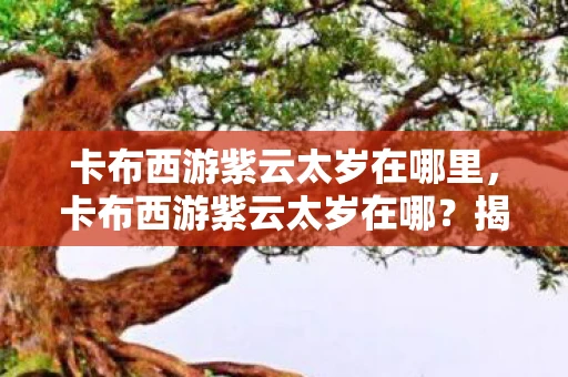 卡布西游紫云太岁在哪里，卡布西游紫云太岁在哪？揭秘隐藏副本的奥秘