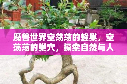 魔兽世界空荡荡的蜂巢，空荡荡的巢穴，探索自然与人类的微妙联系