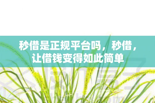 秒借是正规平台吗，秒借，让借钱变得如此简单
