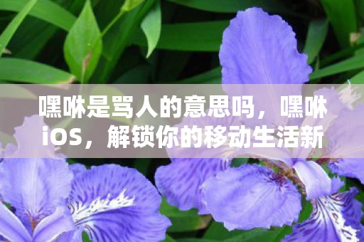 嘿咻是骂人的意思吗，嘿咻iOS，解锁你的移动生活新体验