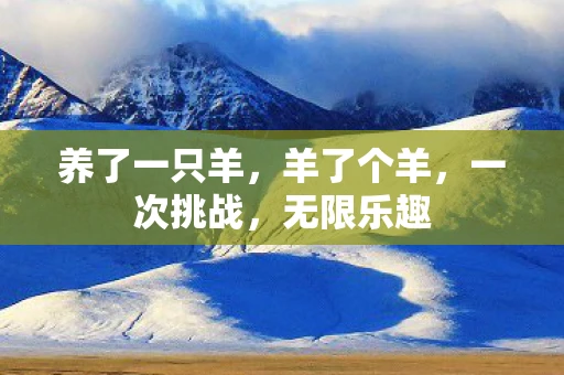 养了一只羊，羊了个羊，一次挑战，无限乐趣